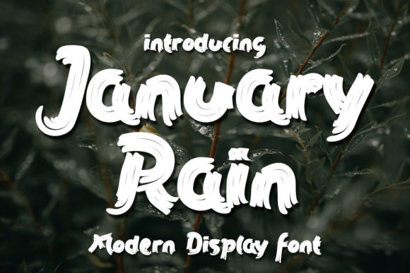January Rain: A Bold Display Font for Editorial Elegance